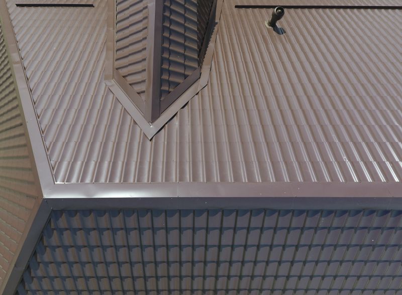 Install Metal Roof detail